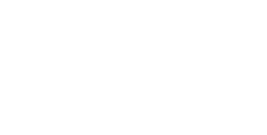 Entrepreneur's Cup