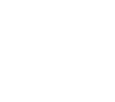 Viribus VR Labs