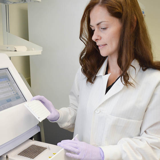 OMRF scientist Magdalena Bieniasz, Ph D , studies how ovarian cancer grows and spreads in the body and the genetic changes in cancer cells that can lead to chemotherapy resistance  Bieniasz recently discovered a therapy that could potentially improve ovarian cancer outcomes 